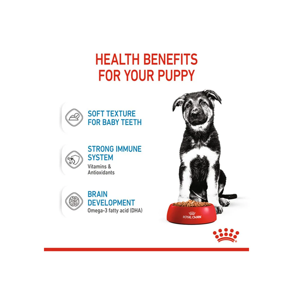 Royal Canin Maxi Puppy Dog Wet Food - Image 4
