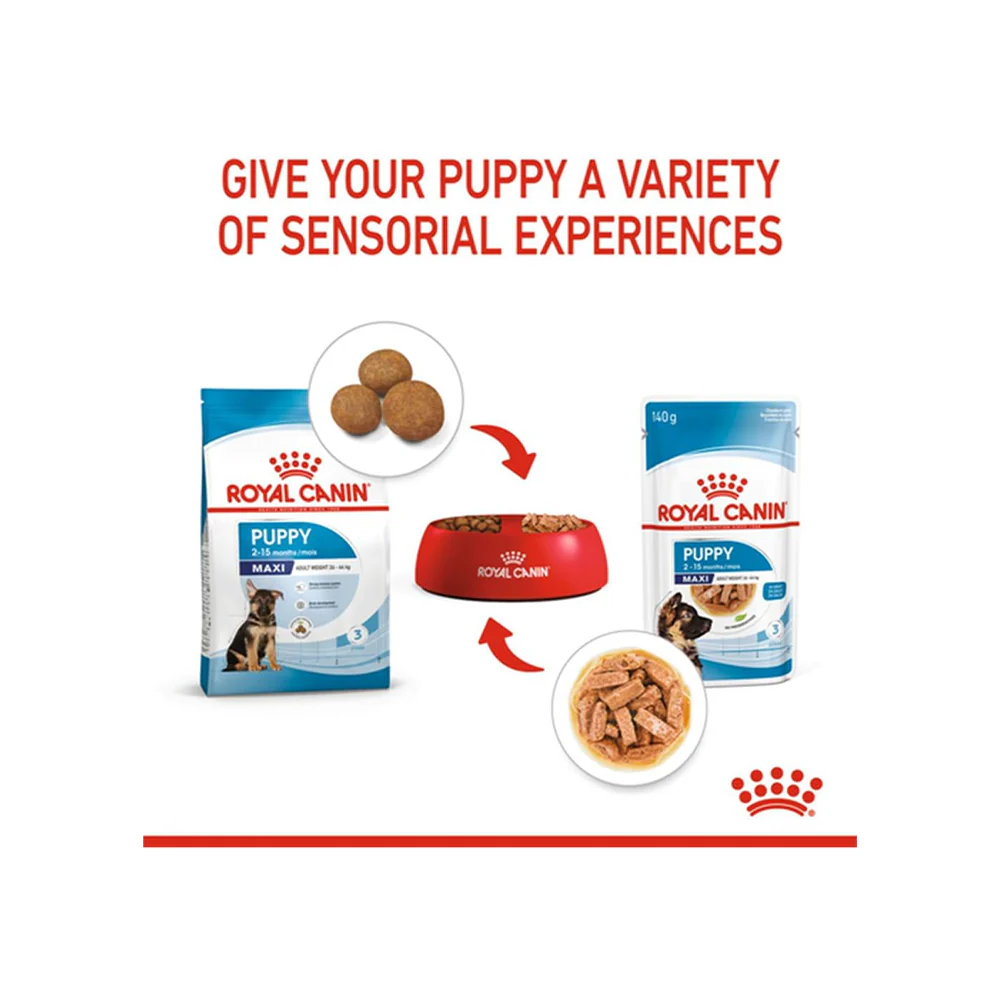 Royal Canin Maxi Puppy Dog Wet Food - Image 6