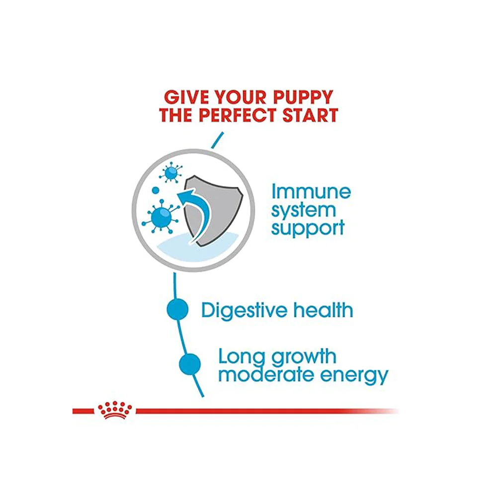 Royal Canin Maxi Puppy Dog Wet Food - Image 9