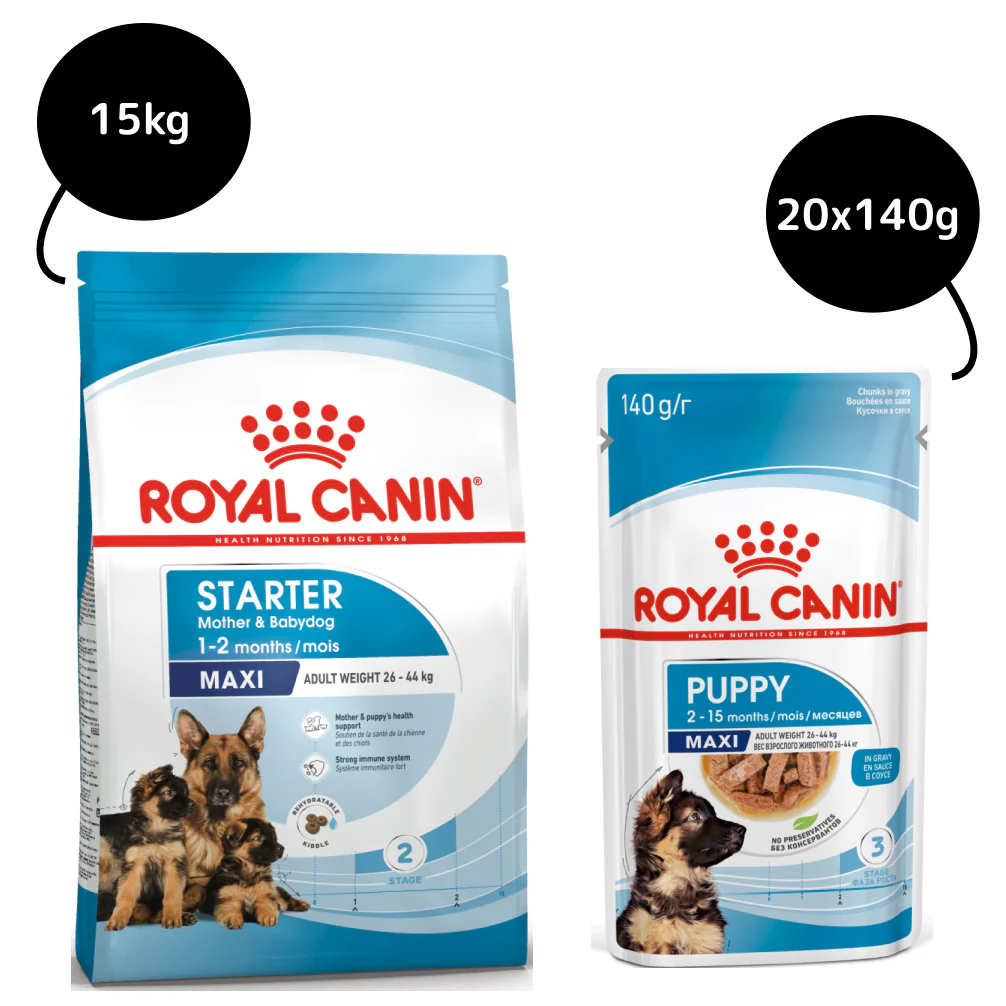 Royal Canin Maxi Starter Dry Food and Maxi Puppy Dog Wet Food Combo - Image 2