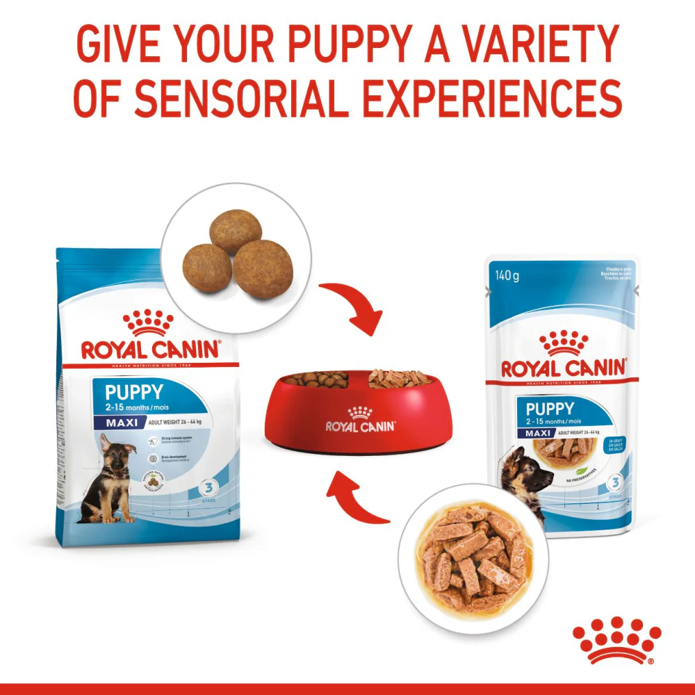 Royal Canin Maxi Starter Dry Food and Maxi Puppy Dog Wet Food Combo - Image 20