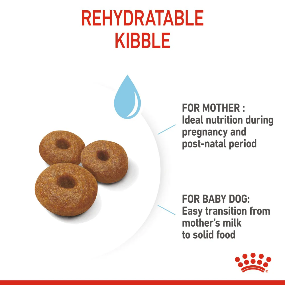 Royal Canin Maxi Starter Dry Food and Maxi Puppy Dog Wet Food Combo - Image 5