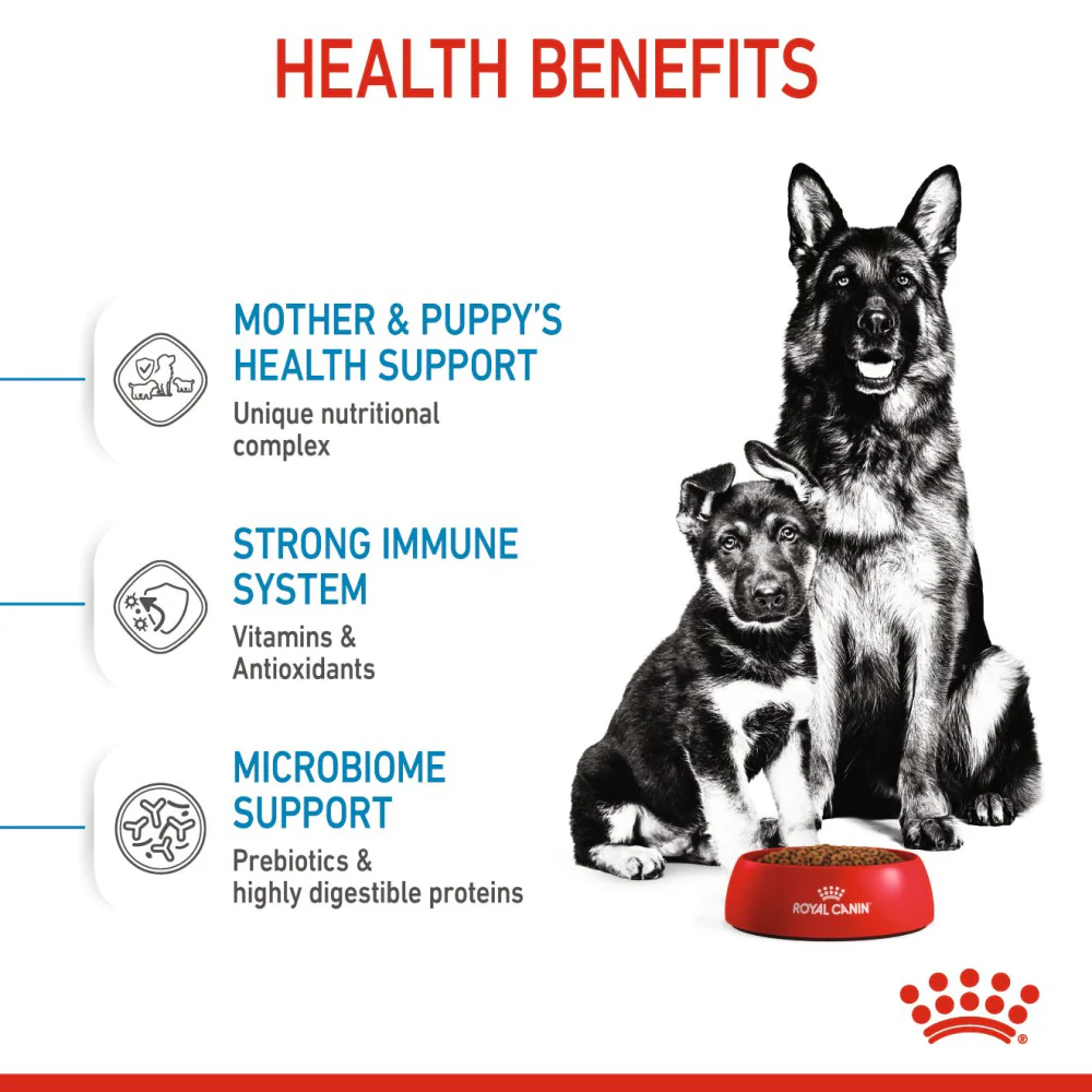 Royal Canin Maxi Starter Dry Food and Maxi Puppy Dog Wet Food Combo - Image 6