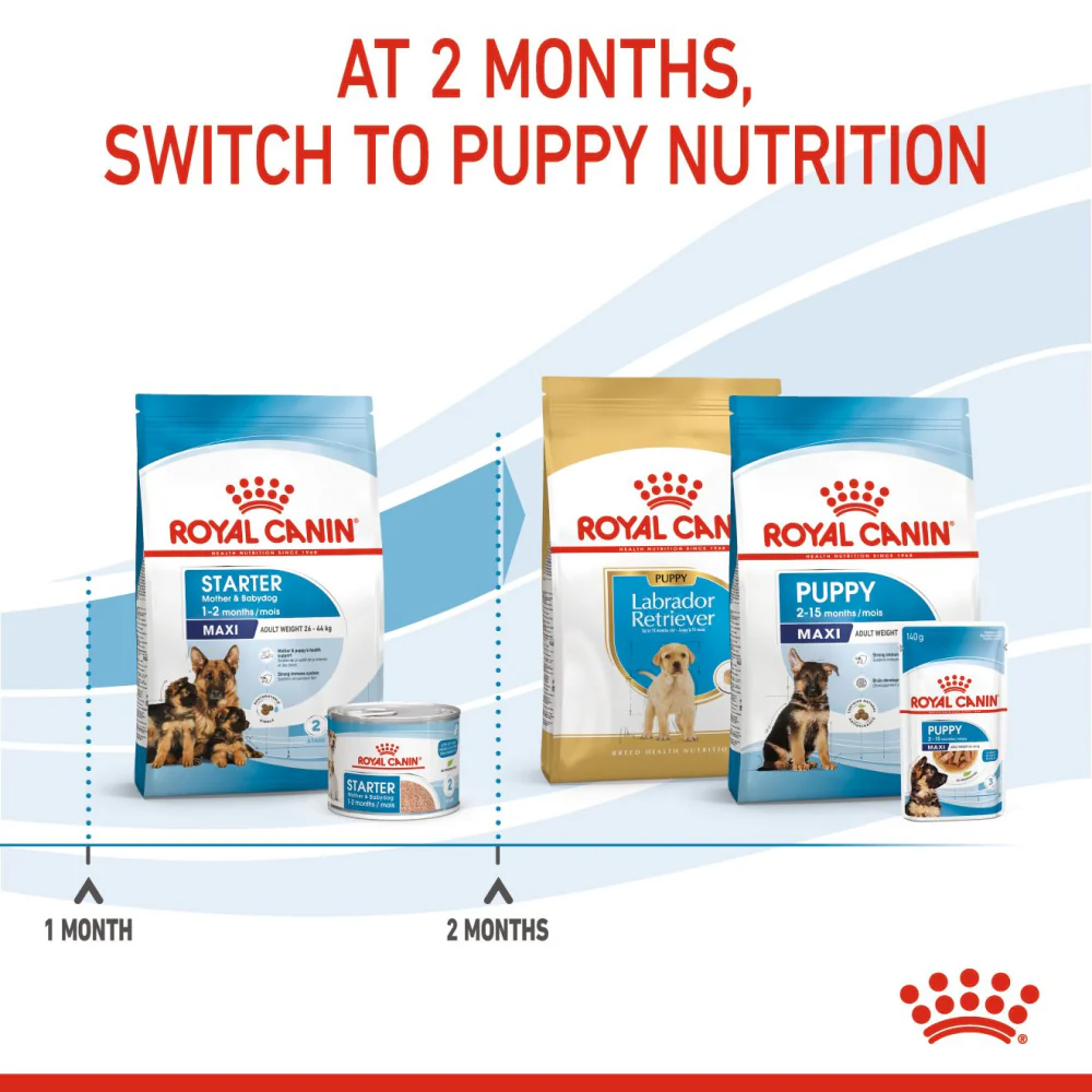 Royal Canin Maxi Starter Dry Food and Maxi Puppy Dog Wet Food Combo - Image 9