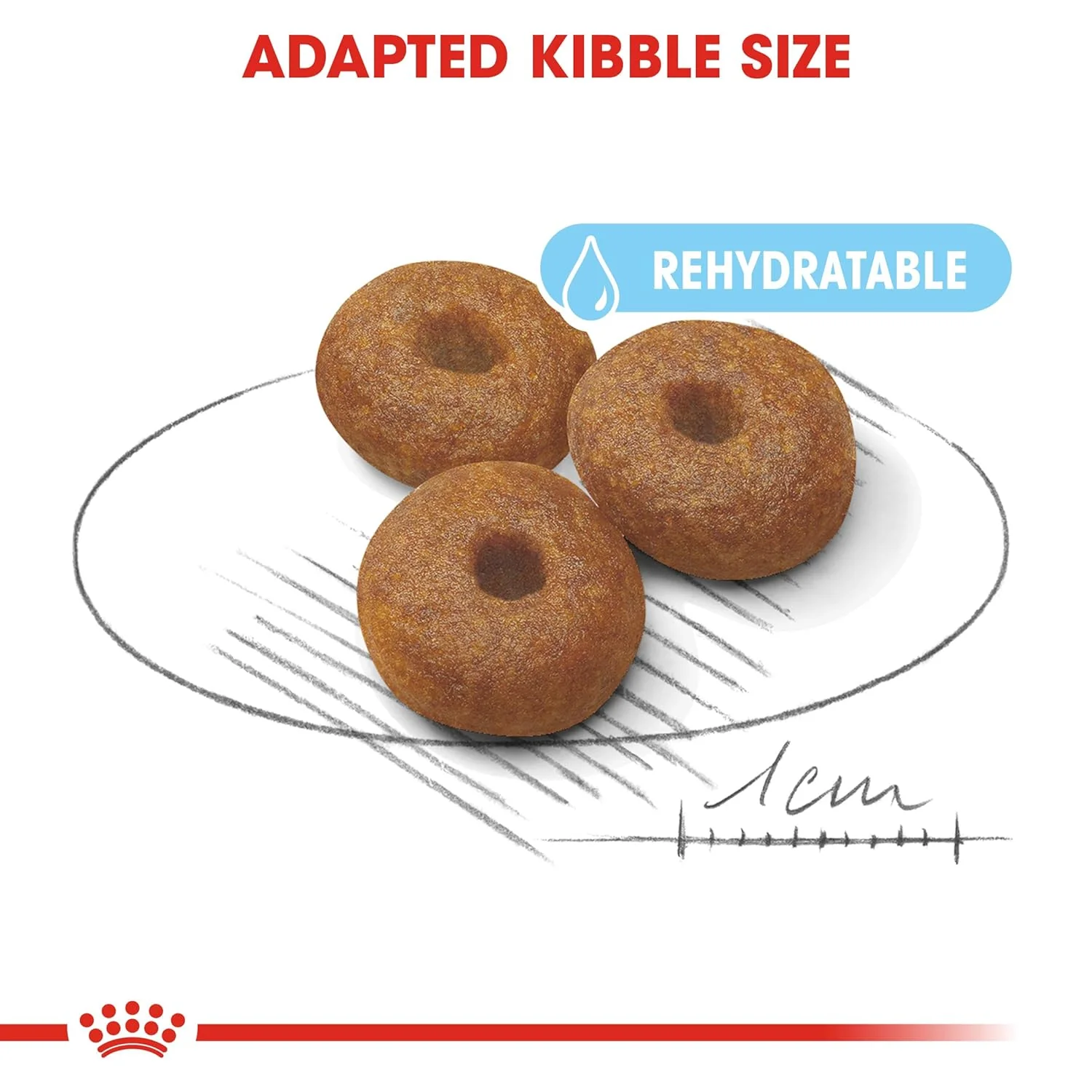 Royal Canin Maxi Starter, Mother & Babydog Dry Food - Image 3