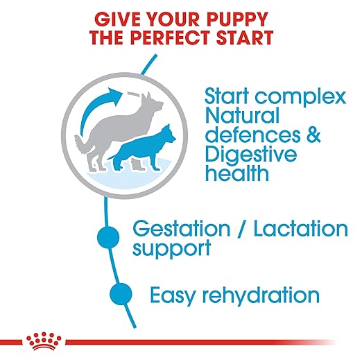 Royal Canin Maxi Starter, Mother & Babydog Dry Food - Image 4