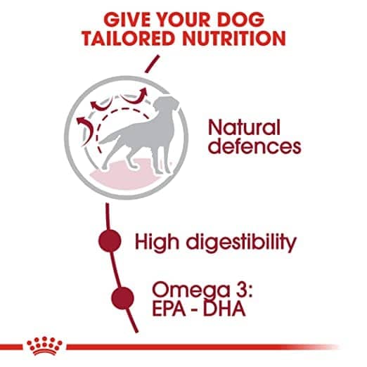 Royal Canin Medium Adult Dog Dry and Wet Food Combo - Image 5