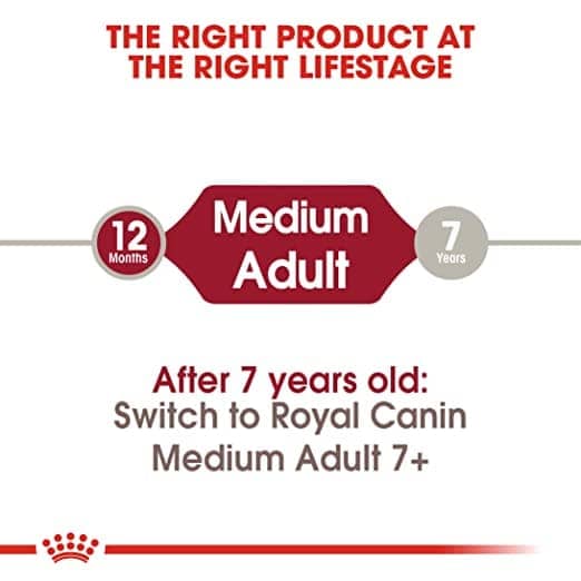 Royal Canin Medium Adult Dog Dry and Wet Food Combo - Image 7
