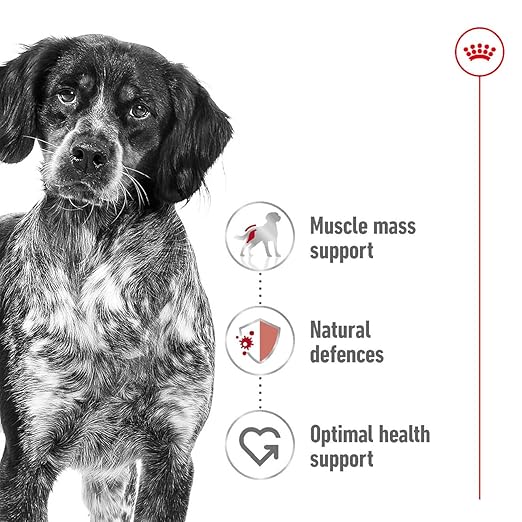 Royal Canin Medium Adult Dog Dry Food - Image 6