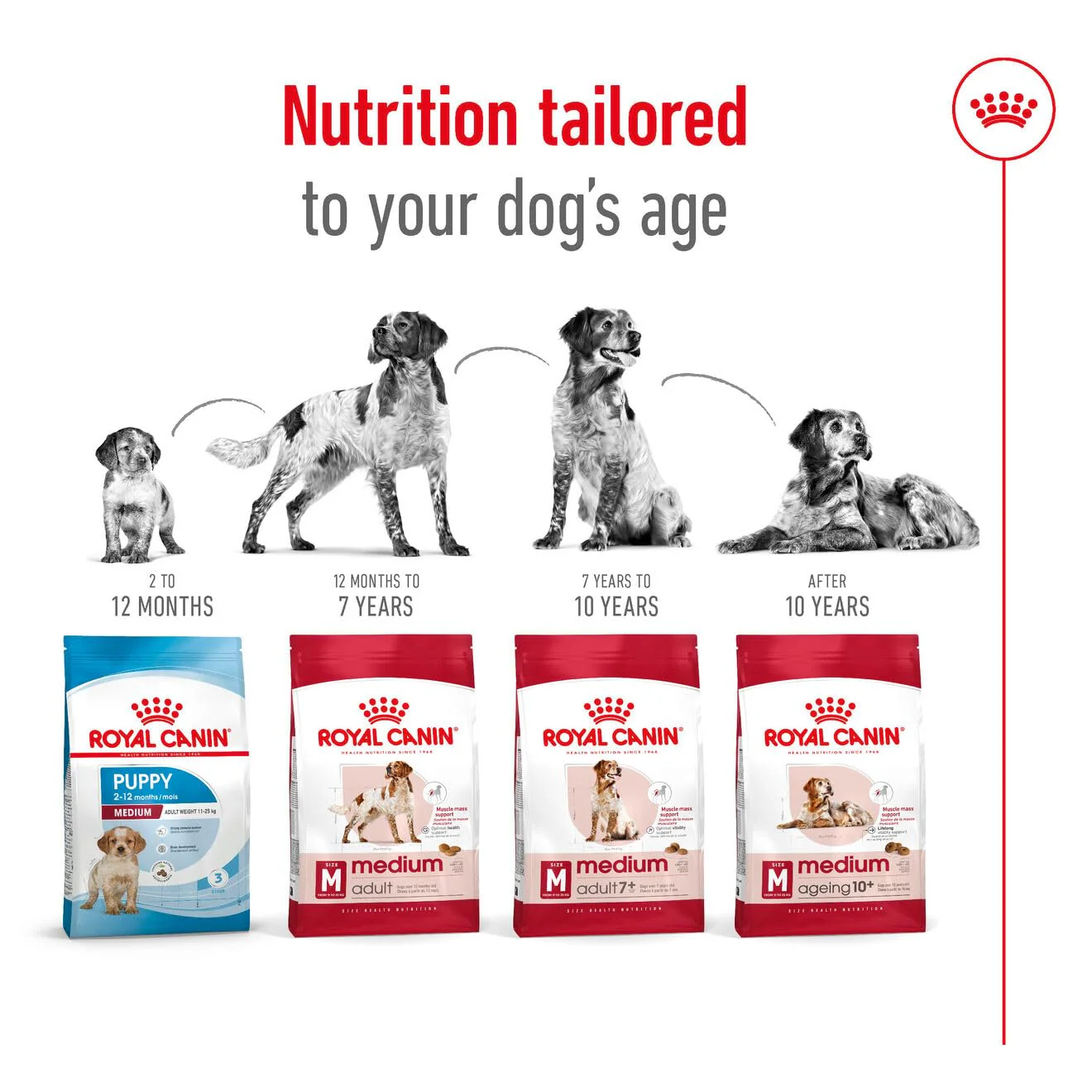 Royal Canin Medium Adult Dog Dry Food - Image 7