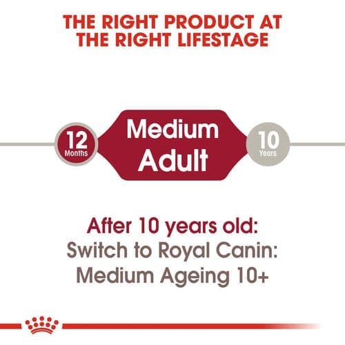 Royal Canin Medium Adult Dog Wet Food - Image 3