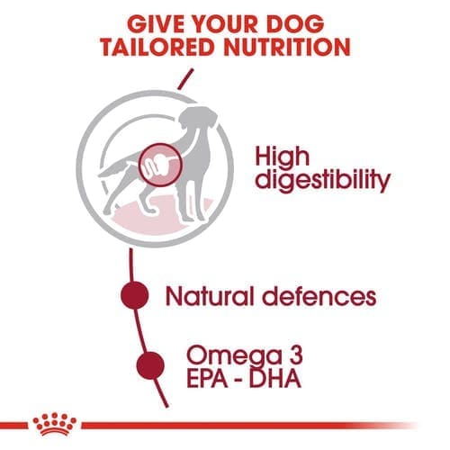 Royal Canin Medium Adult Dog Wet Food - Image 5