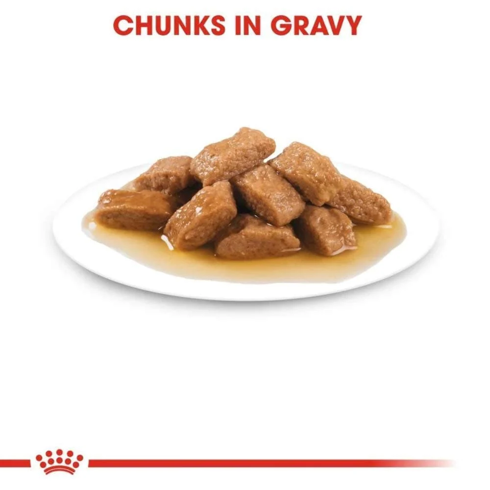 Royal Canin Medium Adult Dog Wet Food - Image 5