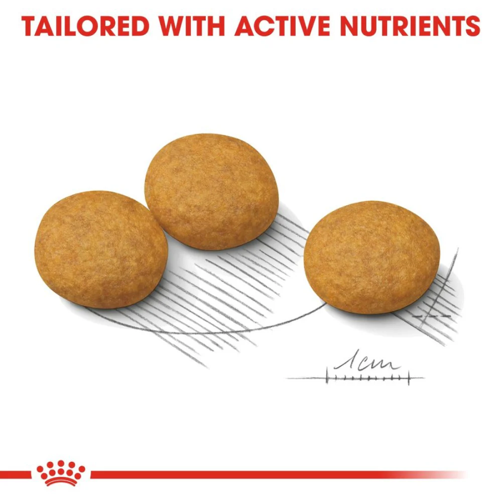 Royal Canin Derma Comfort Medium Adult Dog Dry Food - Image 3