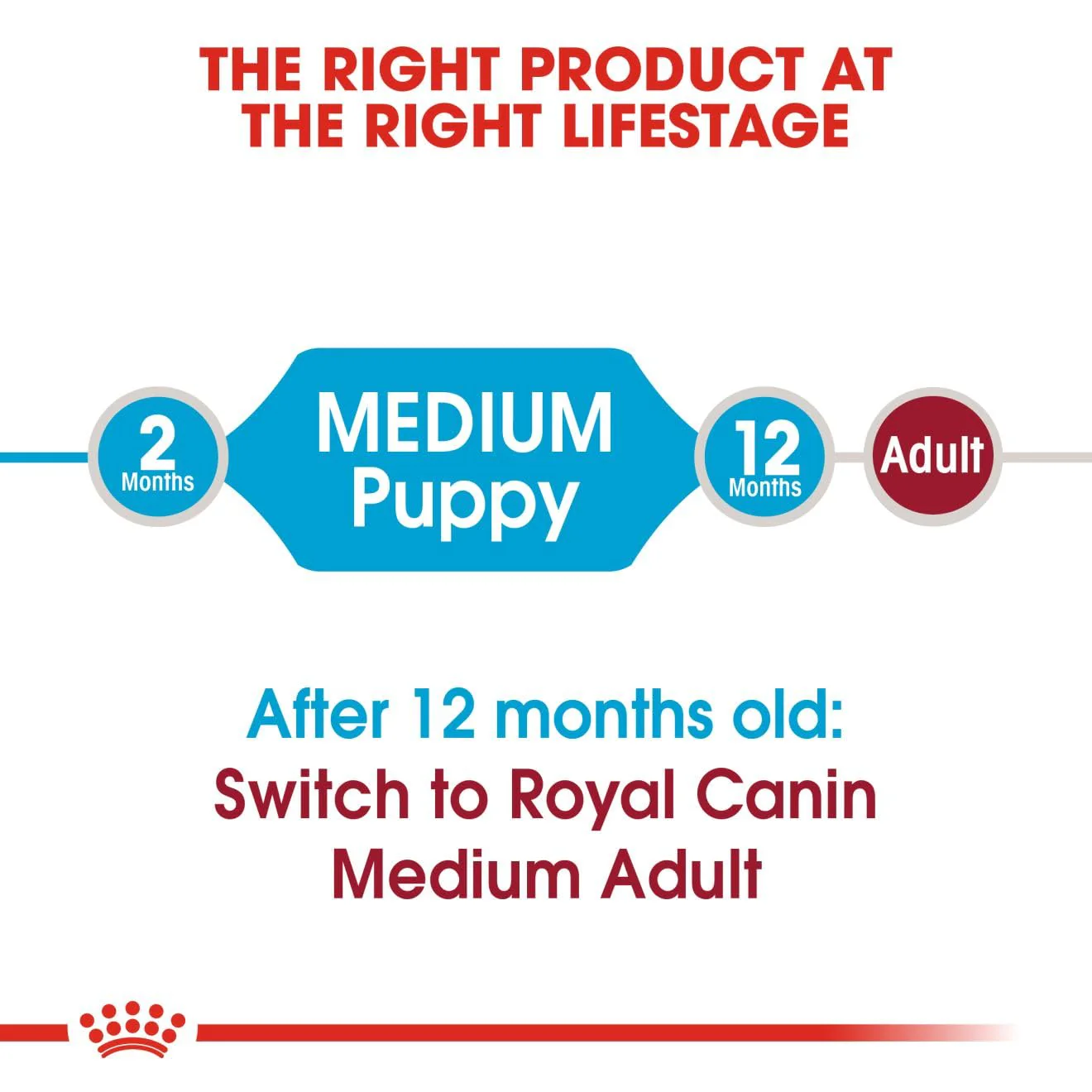Royal Canin Medium Puppy Dog Dry Food - Image 5