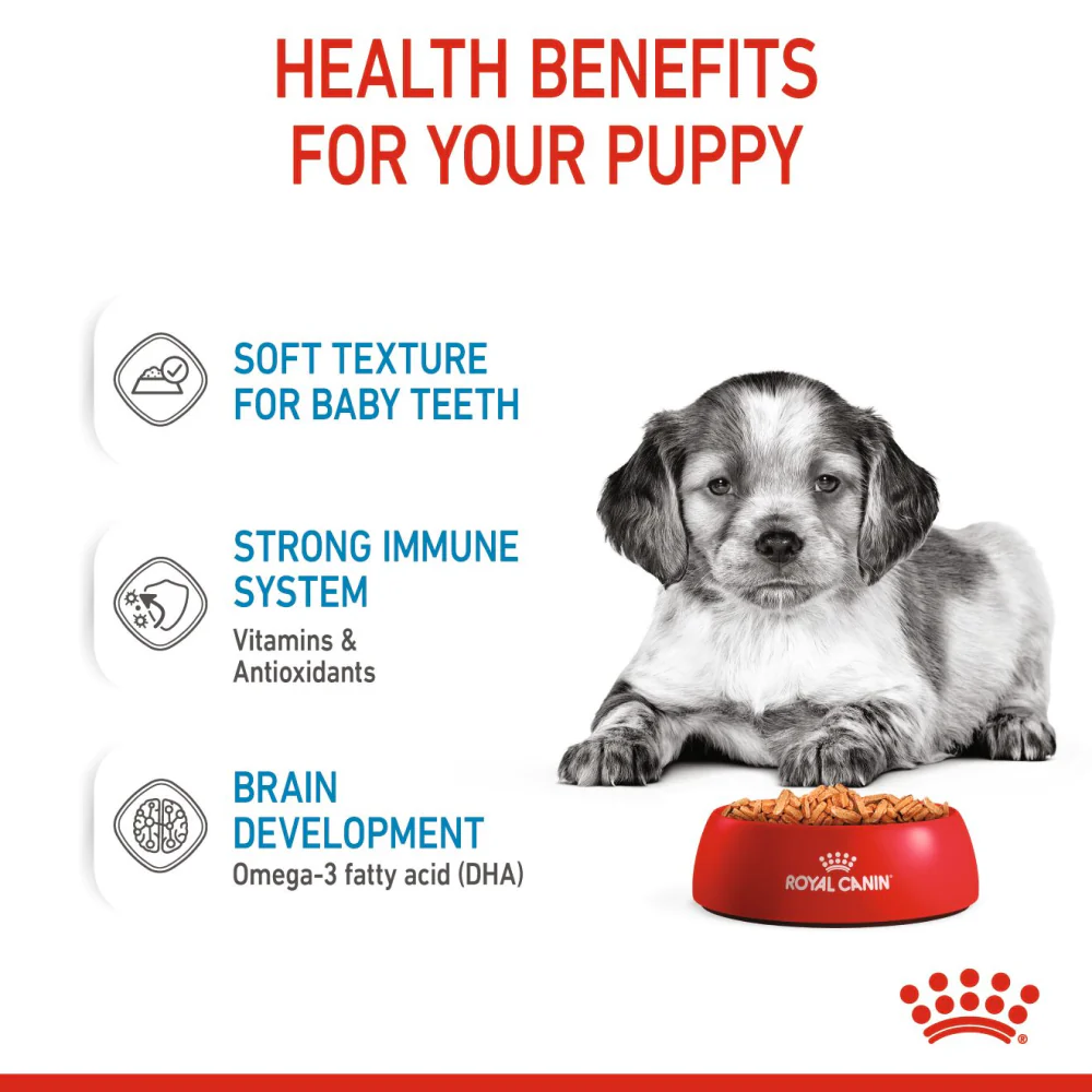 Royal Canin Medium Puppy Dog Wet Food - Image 4