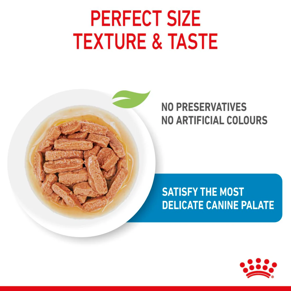 Royal Canin Medium Starter Dry Food for Medium Breed Dog and Puppies and Medium Puppy Dog Wet Food Combo - Image 17