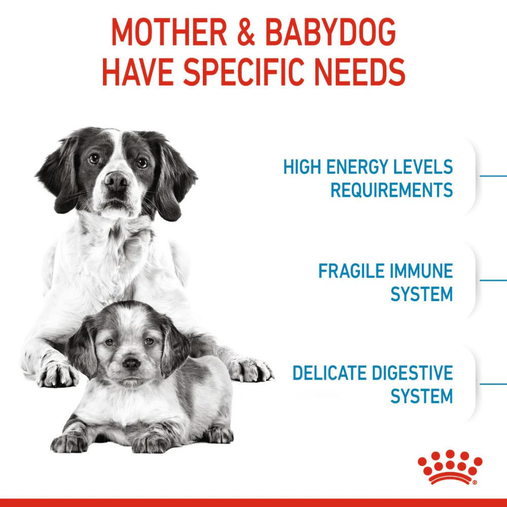 Royal Canin Medium Starter Dry Food for Medium Breed Dog and Puppies and Medium Puppy Dog Wet Food Combo - Image 5