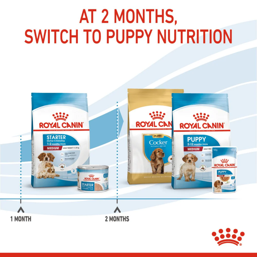 Royal Canin Medium Starter Dry Food for Medium Breed Dog and Puppies and Medium Puppy Dog Wet Food Combo - Image 9