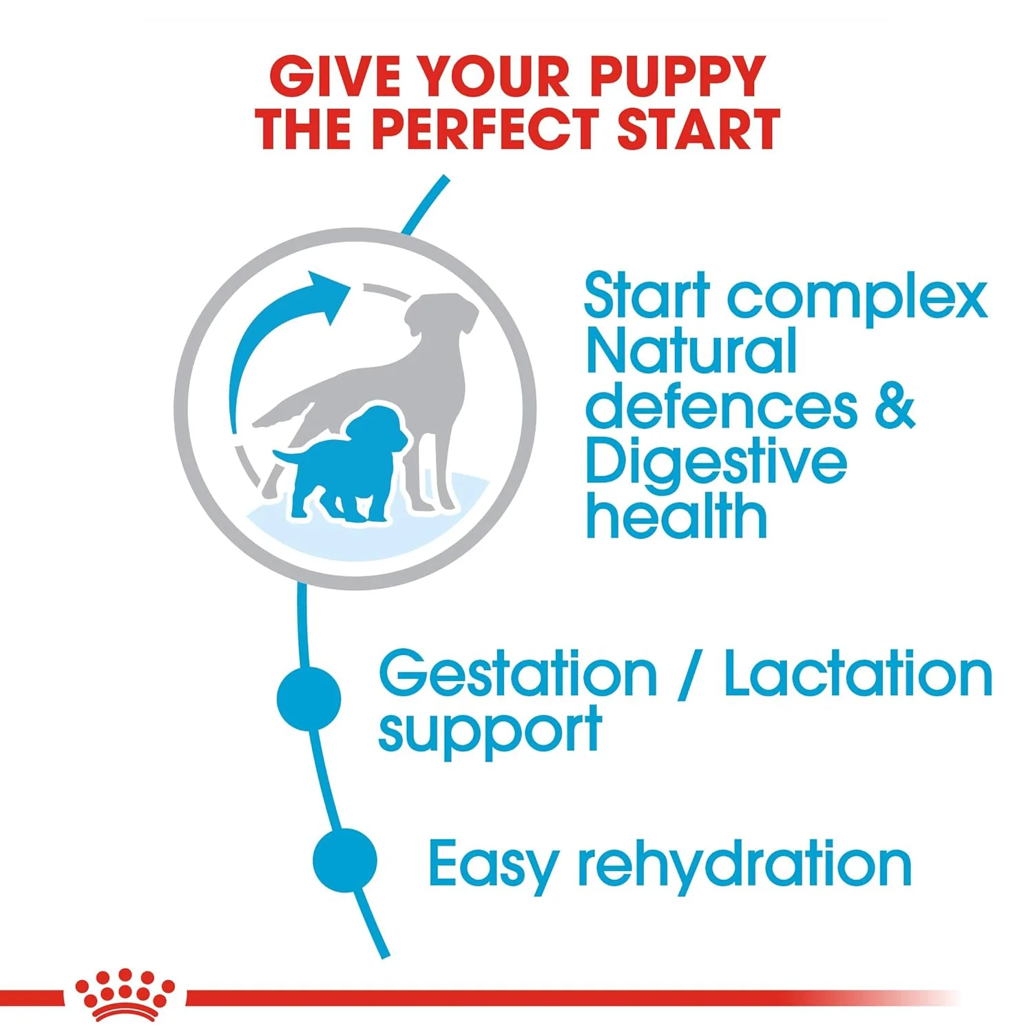 Royal Canin Medium Starter, Mother & Babydog Dry Food - Image 2