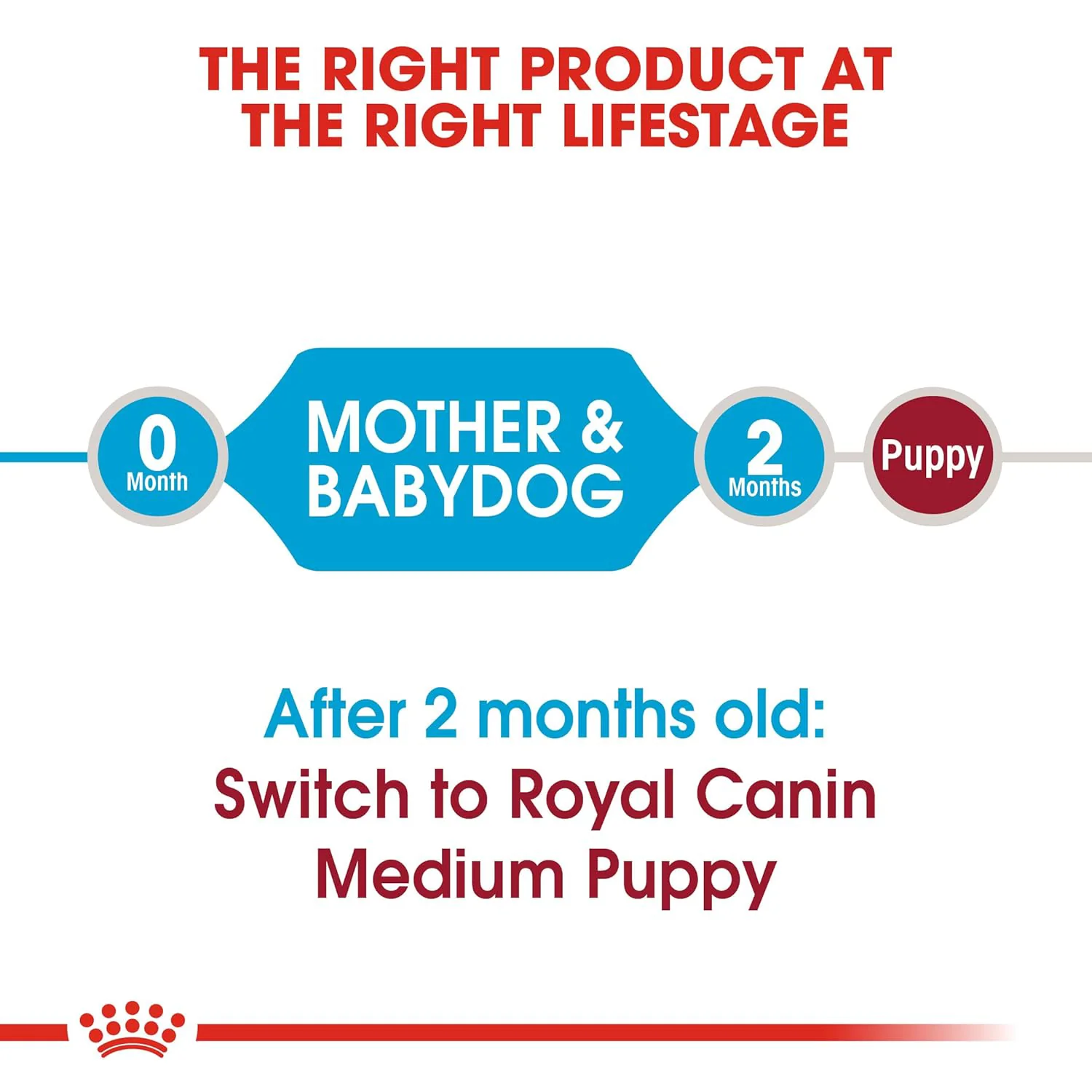 Royal Canin Medium Starter, Mother & Babydog Dry Food - Image 3