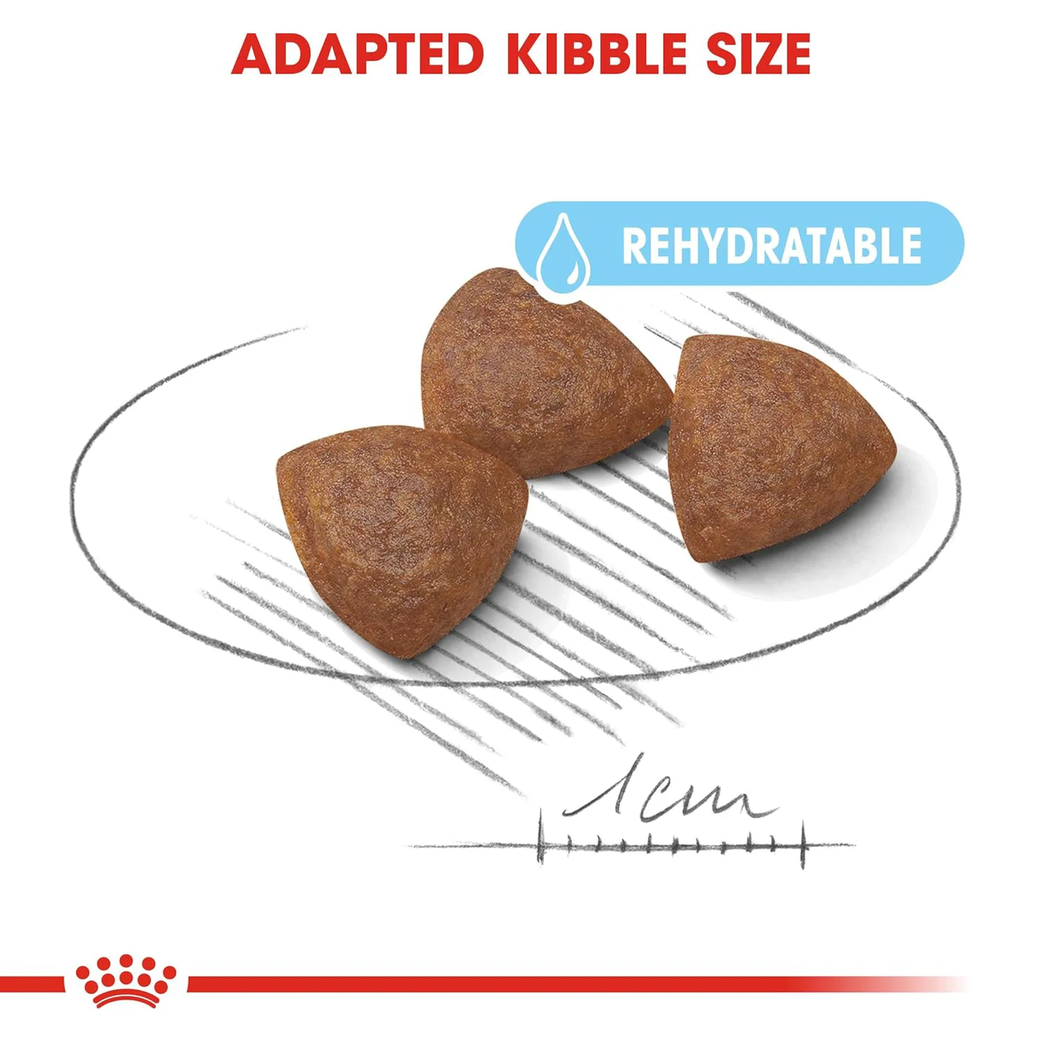 Royal Canin Medium Starter, Mother & Babydog Dry Food - Image 4