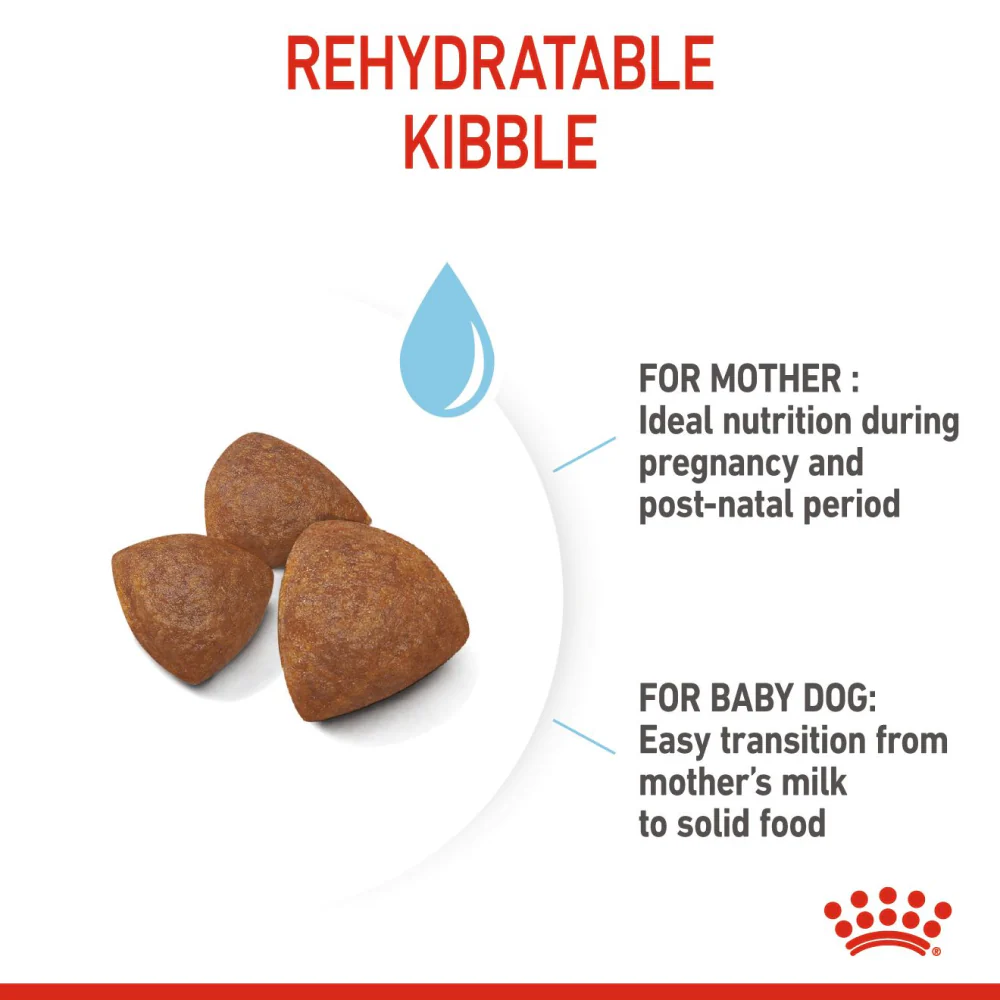 Royal Canin Medium Starter Dry Food for Medium Breed Dog and Puppies - Image 3