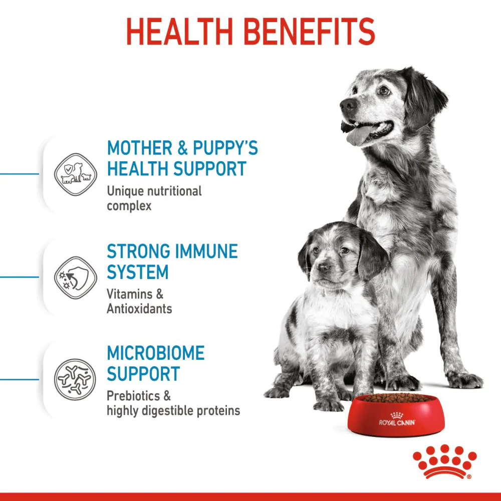 Royal Canin Medium Starter Dry Food for Medium Breed Dog and Puppies - Image 5