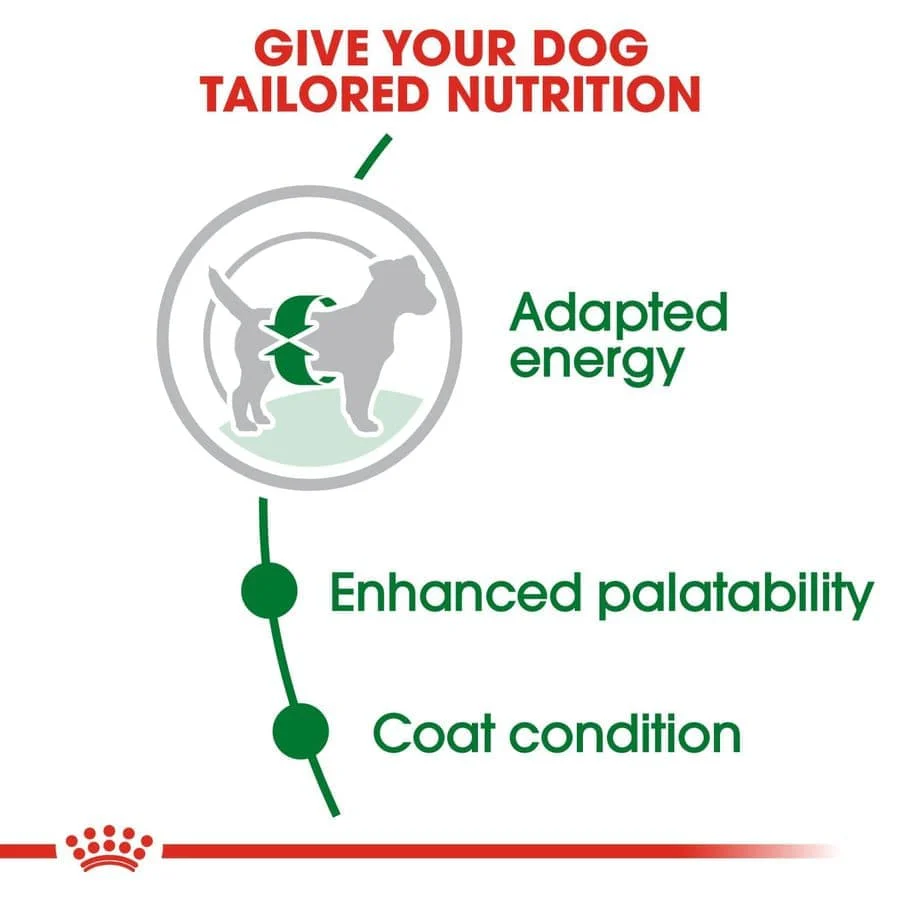Royal Canin Mini Adult Dog Dry Food - Image 4