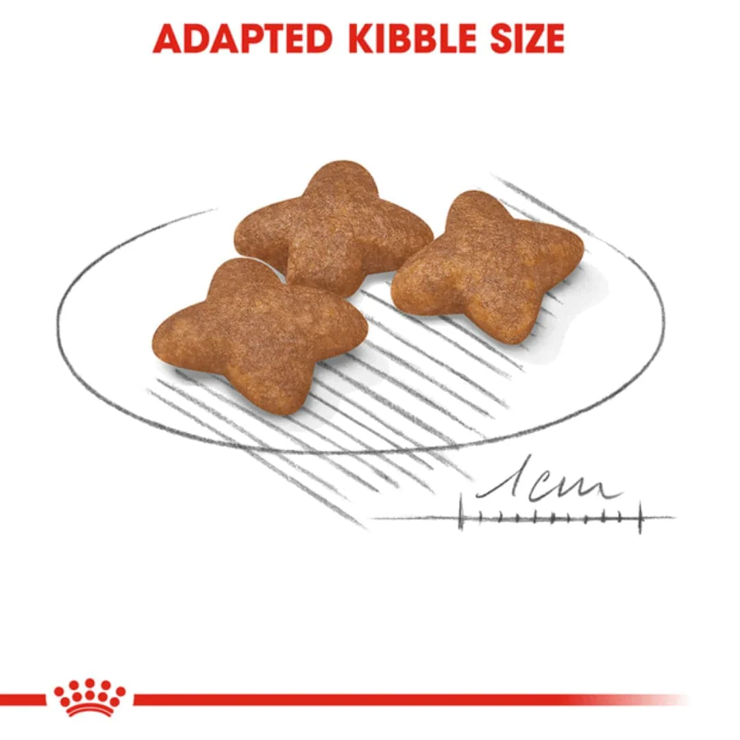 Royal Canin Mini Adult Dog Dry Food - Image 4