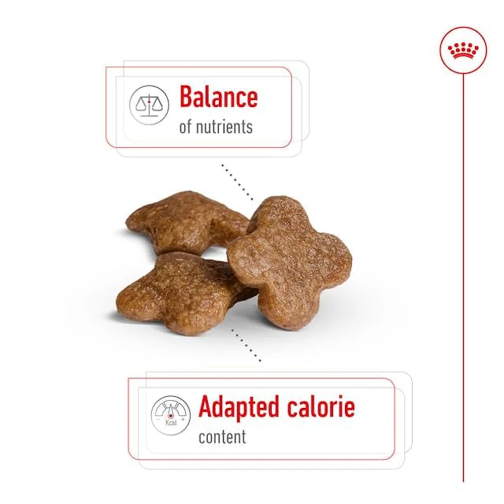 Royal Canin Mini Adult Dog Dry Food with 8+ Years of age - Image 2
