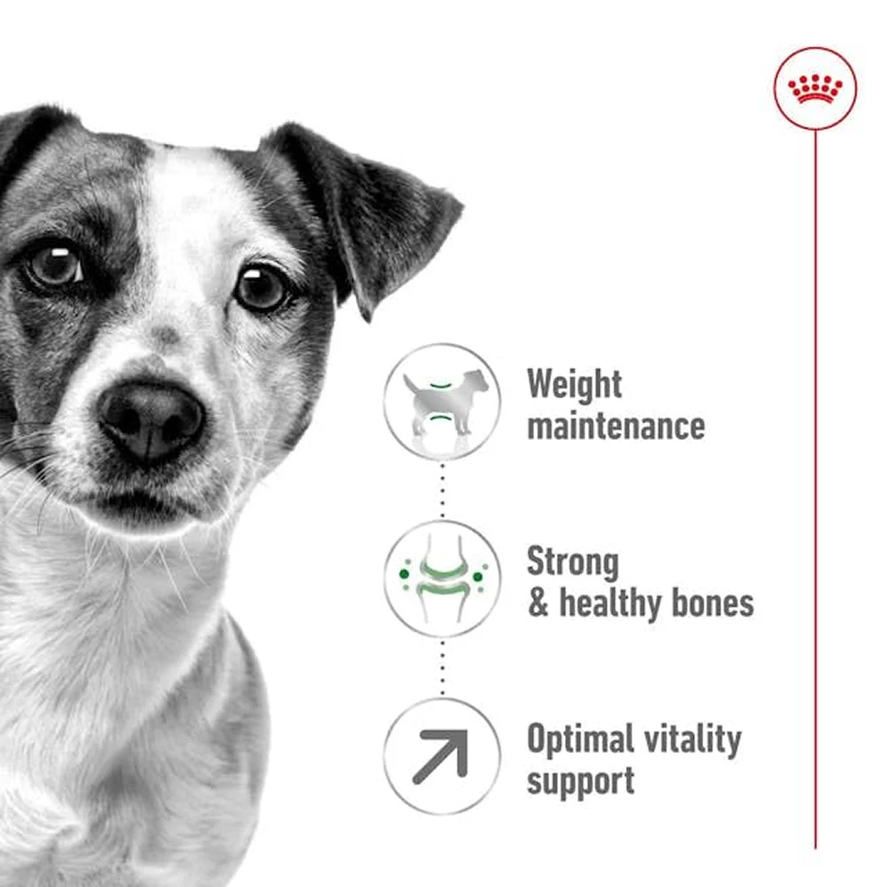 Royal Canin Mini Adult Dog Dry Food with 8+ Years of age - Image 3