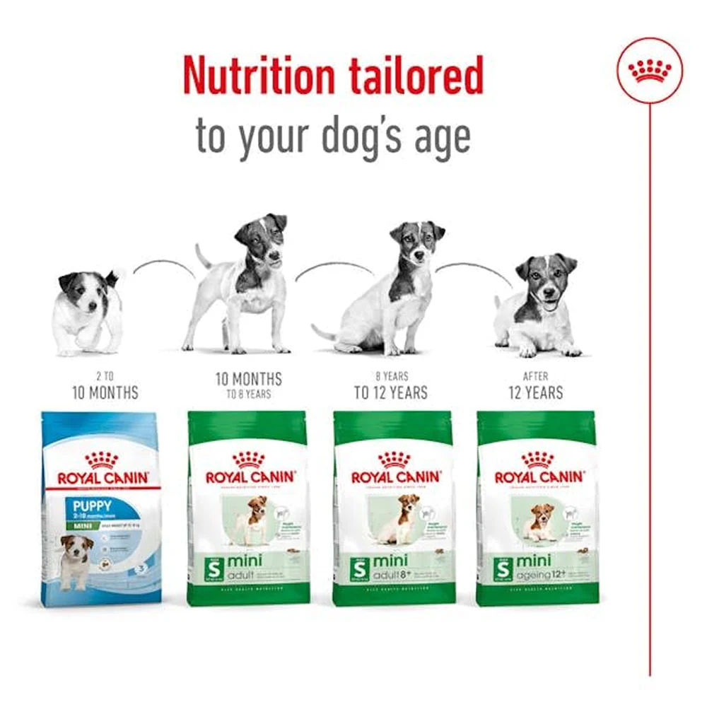 Royal Canin Mini Adult Dog Dry Food with 8+ Years of age - Image 6