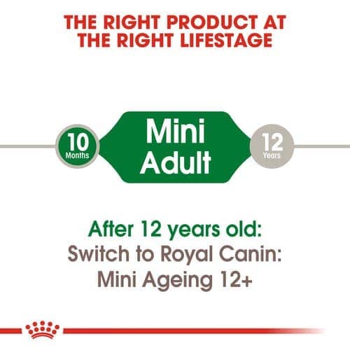 Royal Canin Mini Adult Dog Wet Food - Image 4