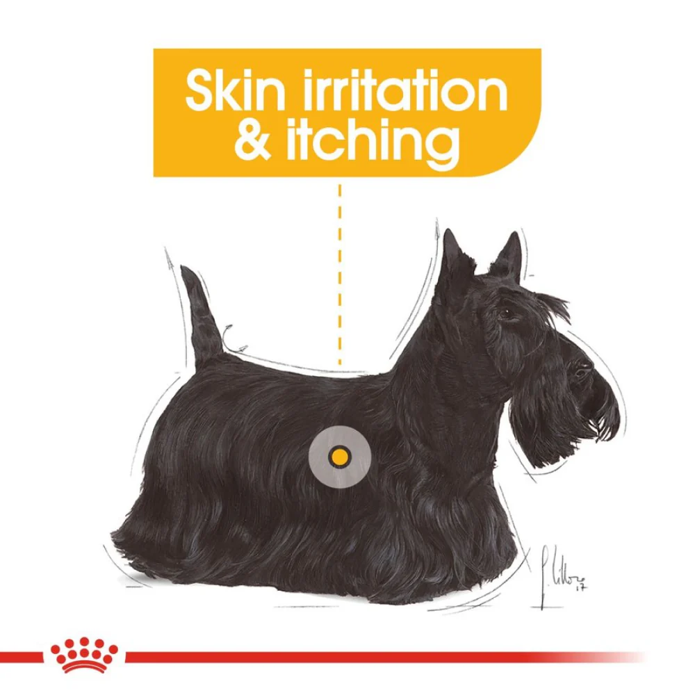 Royal Canin Dermacomfort Mini for Small Dog Dry Food - Image 10