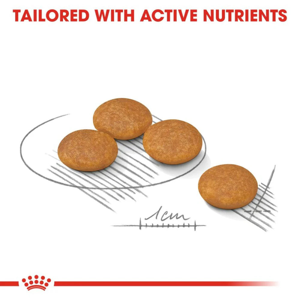 Royal Canin Dermacomfort Mini for Small Dog Dry Food - Image 3