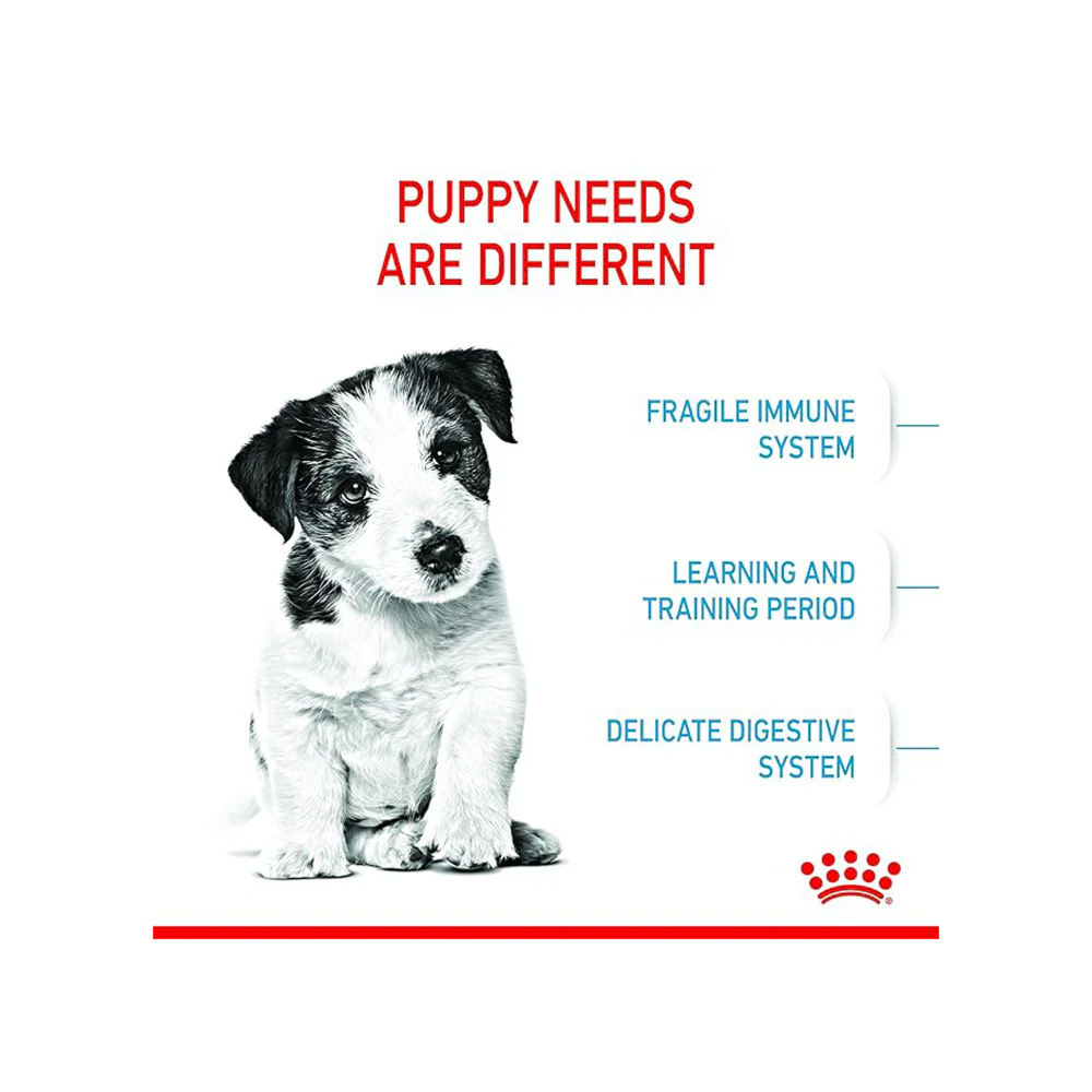 Royal Canin Mini Puppy Dog Dry Food - Image 3
