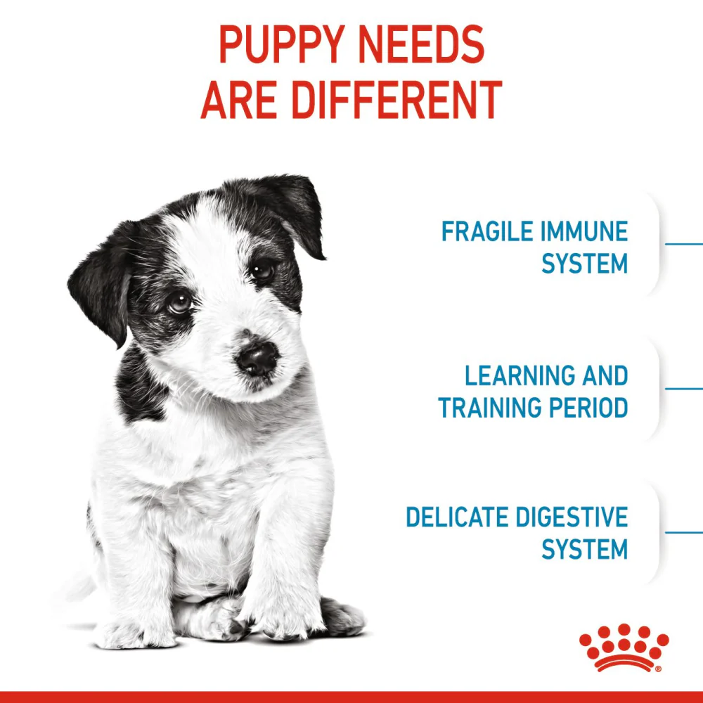 Royal Canin Mini Puppy Dog Dry Food - Image 4