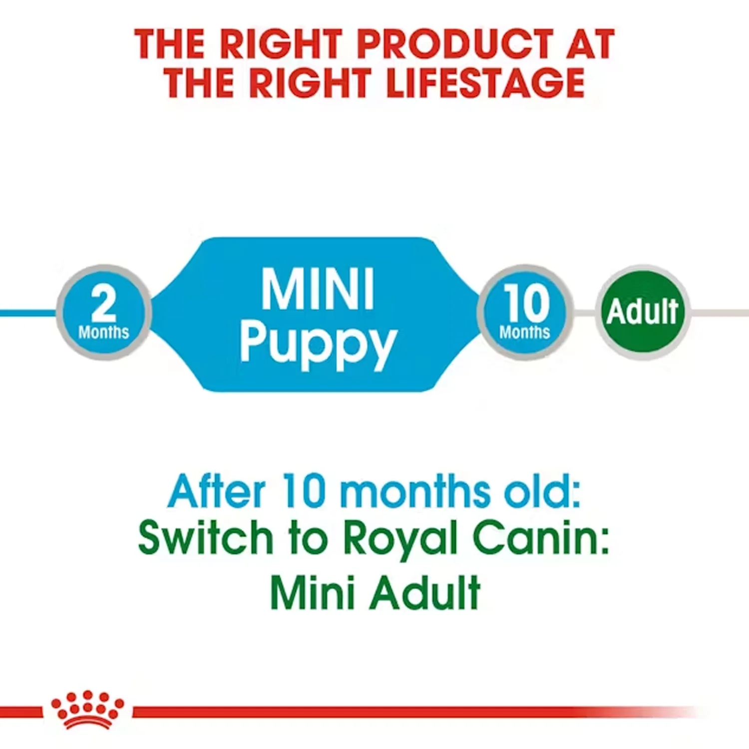 Royal Canin Mini Puppy Dog Wet Food - Image 3