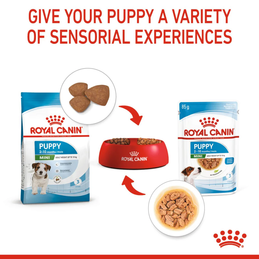 Royal Canin Mini Puppy Dog Wet Food - Image 9