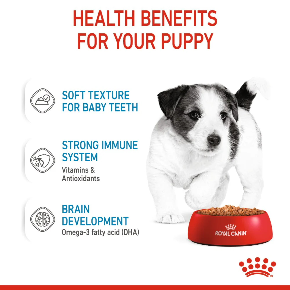Royal Canin Mini Puppy Dog Wet Food - Image 4
