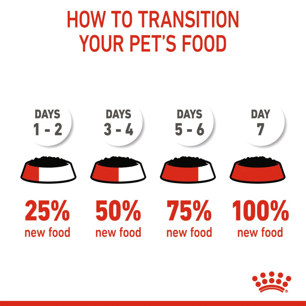 Royal Canin Mini Puppy Dog Wet Food - Image 7