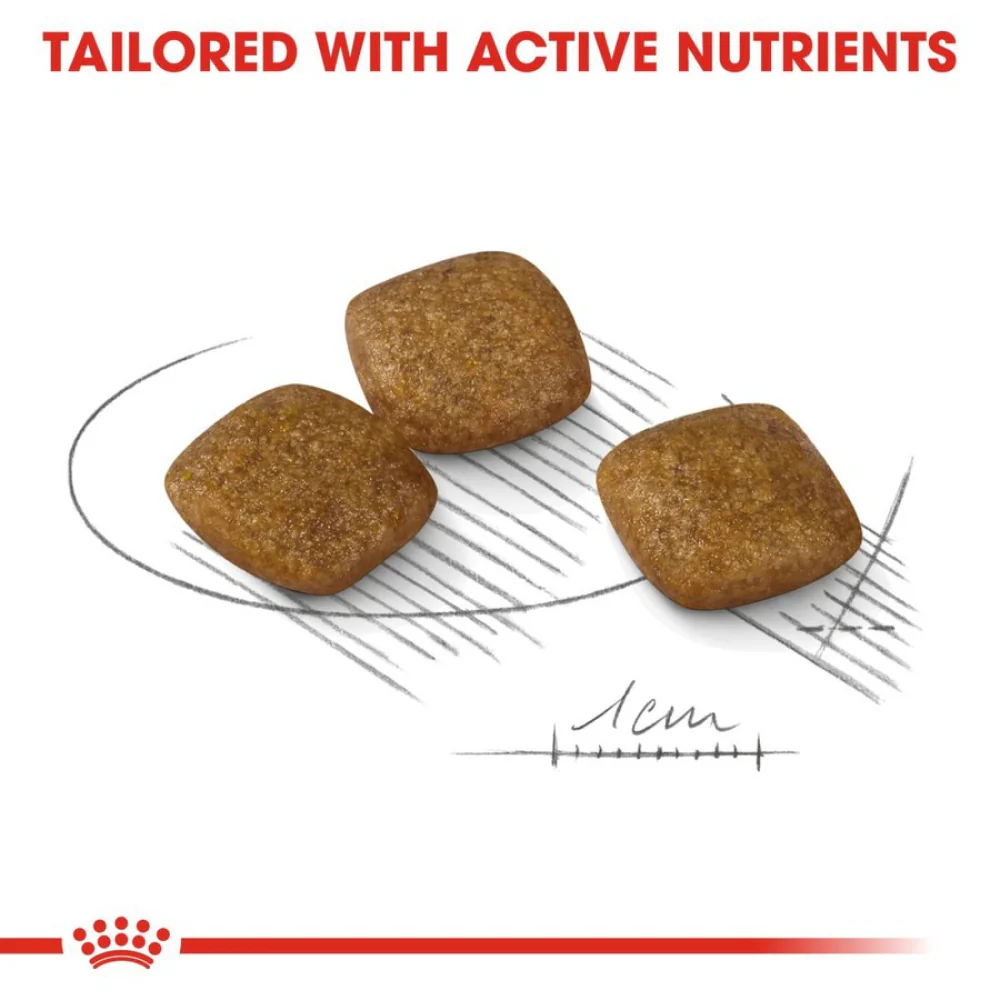 Royal Canin Relax Care Mini Dry Dog Food - Image 3