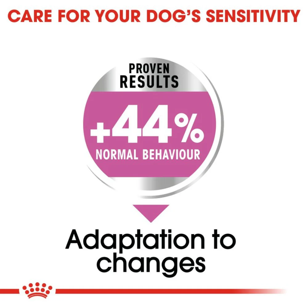 Royal Canin Relax Care Mini Dry Dog Food - Image 4