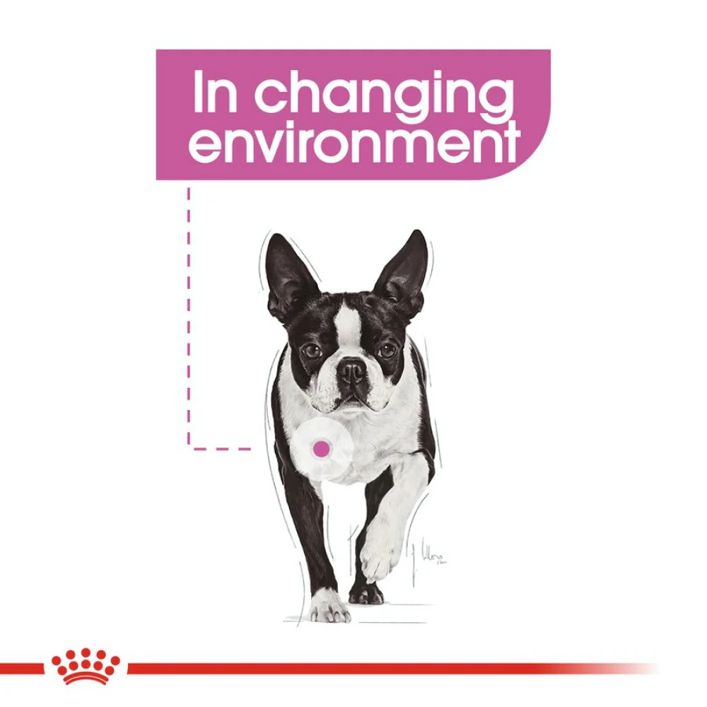 Royal Canin Relax Care Mini Dry Dog Food - Image 8