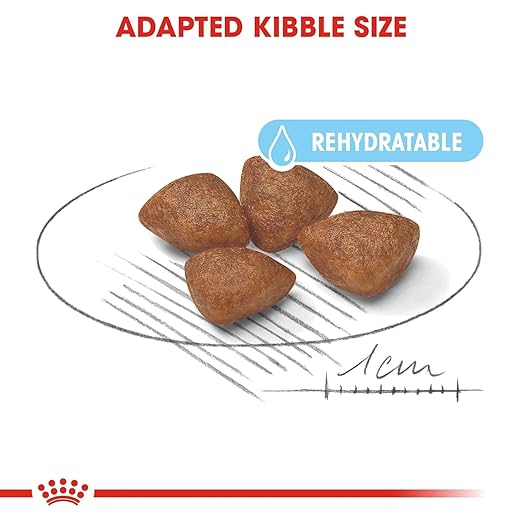 Royal Canin Mini Starter, Mother & Babydog Dry Food - Image 3