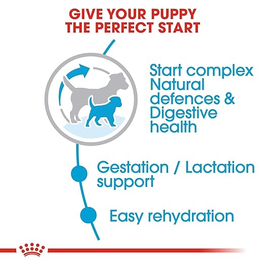 Royal Canin Mini Starter, Mother & Babydog Dry Food - Image 4