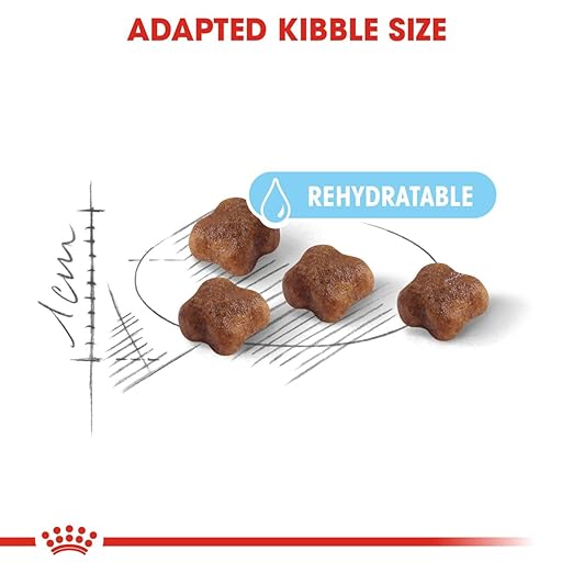 Royal Canin Mother & Babycat Cat Dry Food - Image 3