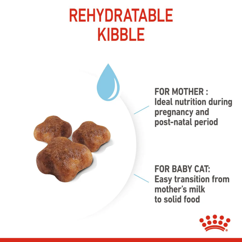 Royal Canin Mother & Babycat Cat Dry Food - Image 4