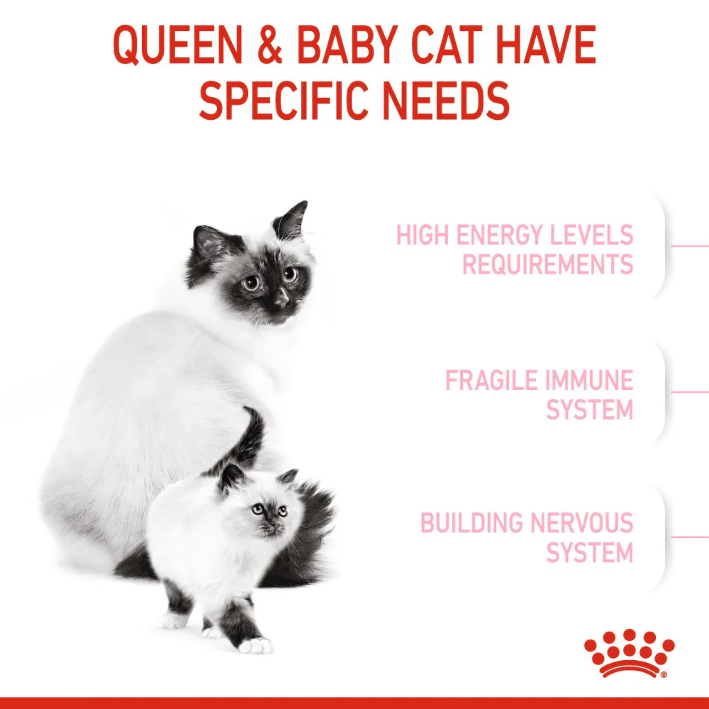 Royal Canin Mother & Babycat Cat Dry Food - Image 2
